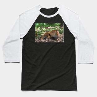 Bison Calf Baseball T-Shirt